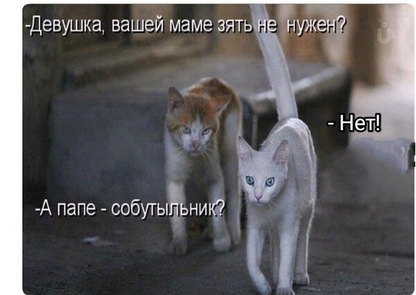 Это уже совсем прямо фууу😒