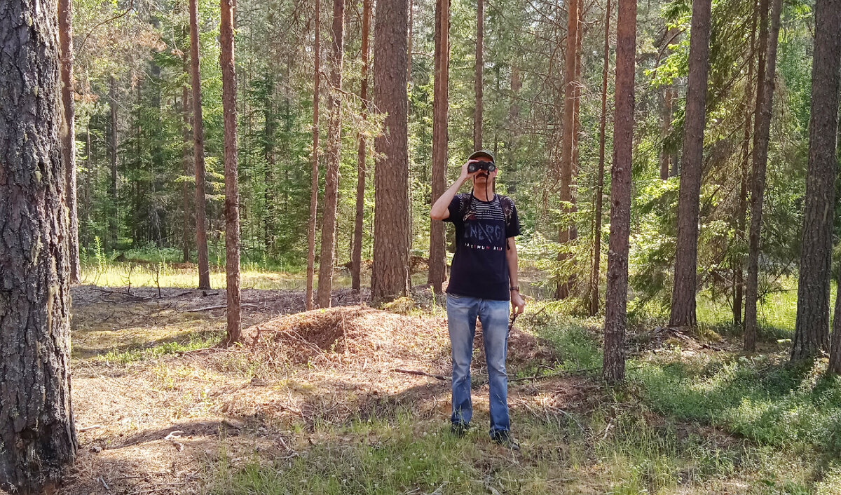 Разглядеть удалось дятла, упорно долбящего ствол сосны. Хороший вид, но мой бинокль без опции фотосъёмки.