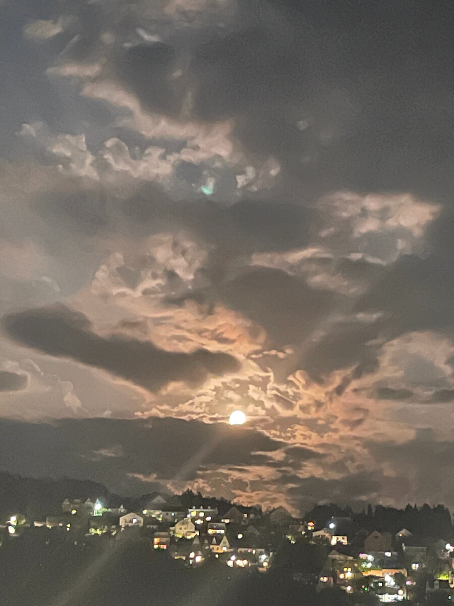 Фото сделано мною