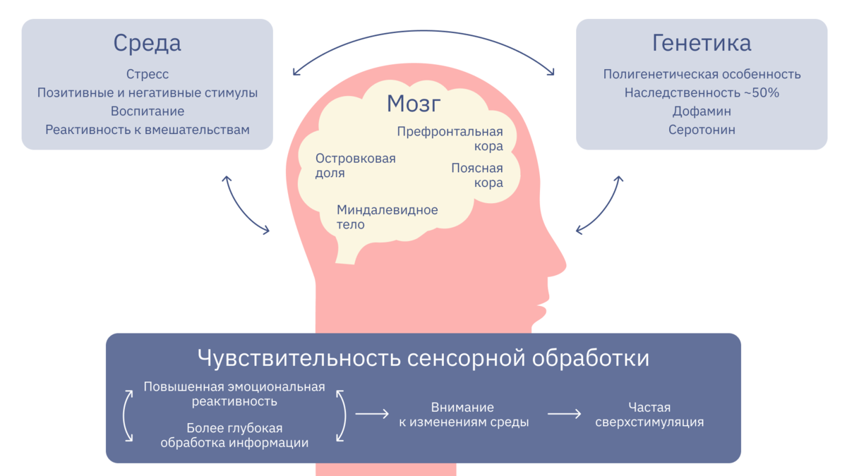 дот ком что это расшифровка фото 114