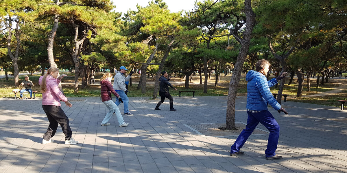 разминаемся "24-кой" перед занятиями по чжуан-гун.Пекин. 