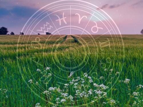 Фото: ShutterStock