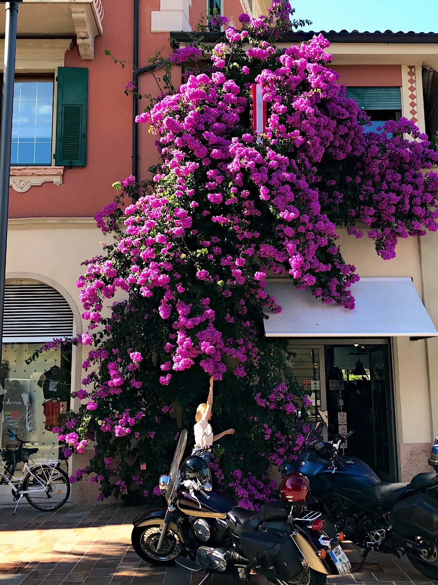 Элеонора Тонделли, Васту-эксперт, основатель бренда Dr.Vastu, автор статей. Италия, Тренто  