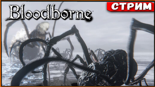 Bloodborne #6 В гости к Амигдале [Стрим] [2k]