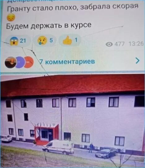 фото из открытого источника "Яндекс Картинки"