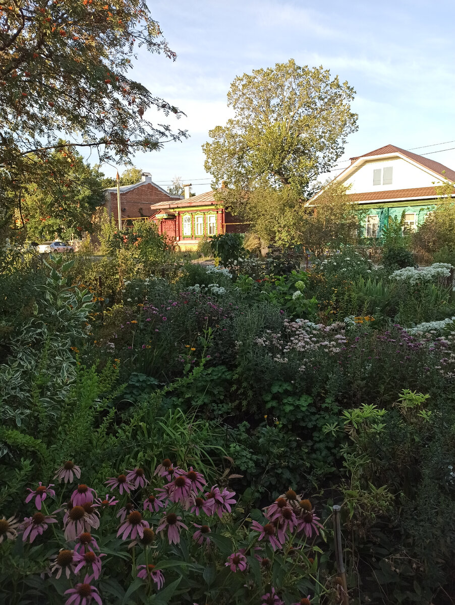 Борисоглебск, улица Пешкова