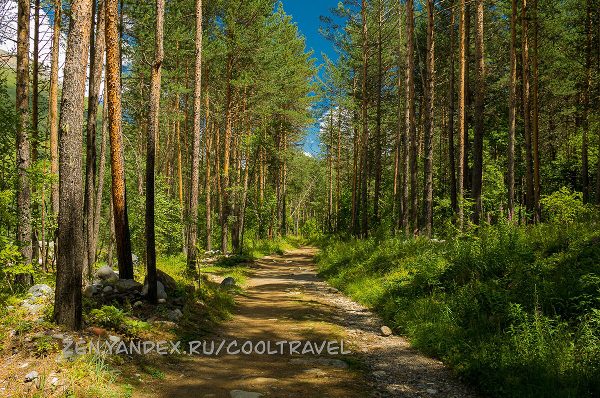 Фото: Дмитрий Кандинский