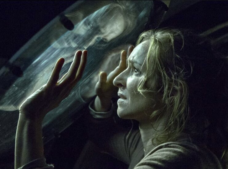 Детектив, преступление, триллер. Дания, Германия, Швеция, Норвегия. Режиссёр: Миккель Нёргор. В главных ролях: Николай Ли Каас, Фарес Фарес, Пер Шил Крюгер, Троэльс Любю.