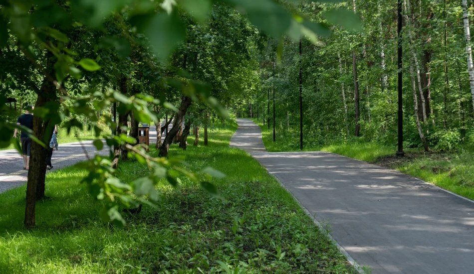 Заельцовский парк