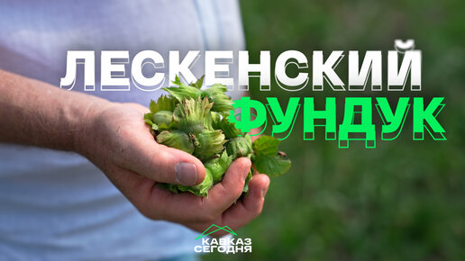 🌰Лескенский фундук