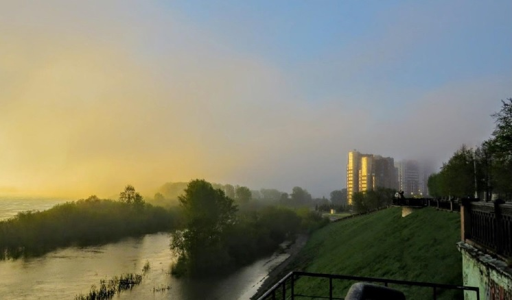 Туманное майское утро 2017-го. Фото: Екатерина Комарова 