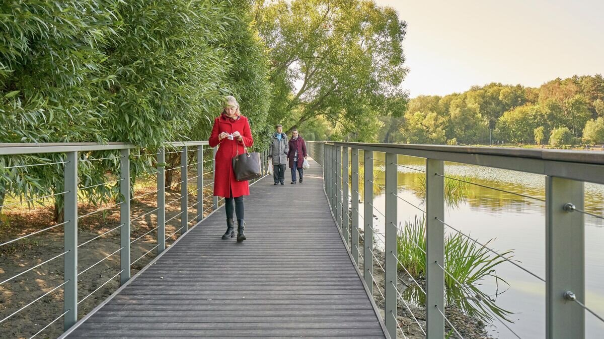    Обновление набережных у Иваньковских прудов в московском Покровском-Стрешневе© Департамент капремонта Москвы