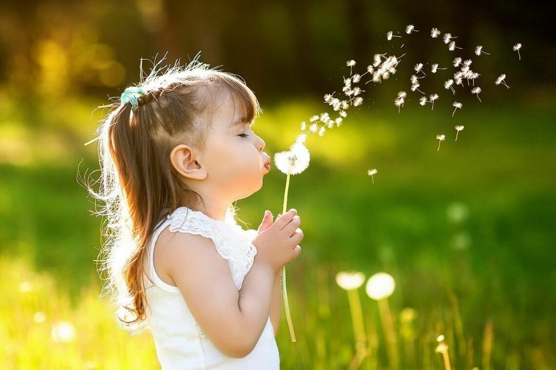 Изображение взято из открытых источников в интернете