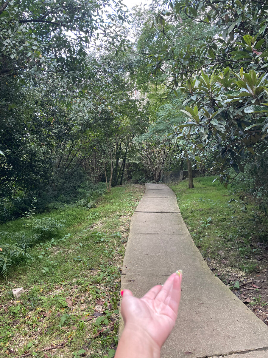 В парке на прогулке .