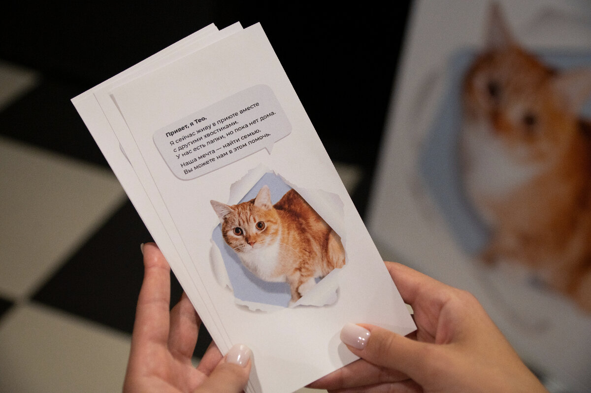 "Музы с лапками". Фотограф И.Головков