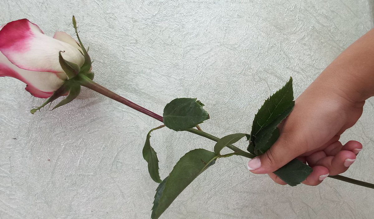 Фото из личного архива