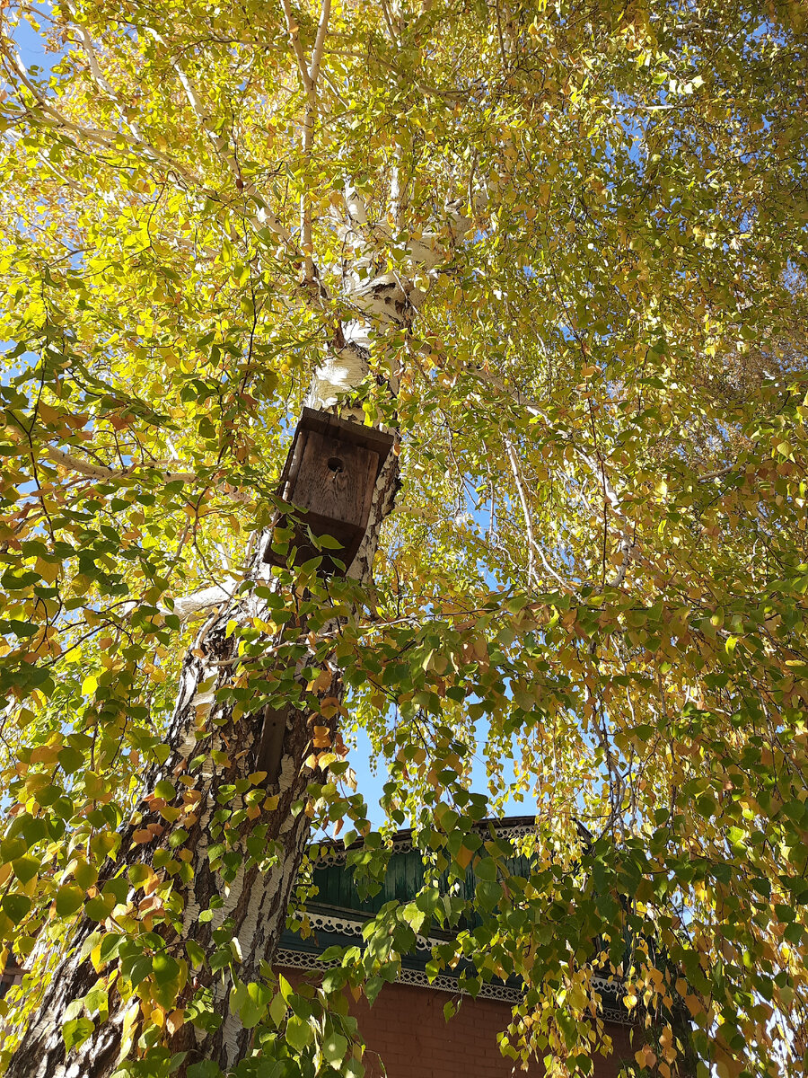 В садоводстве