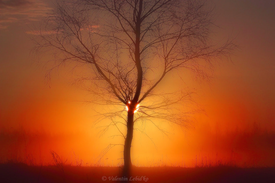 Свет пробуждения