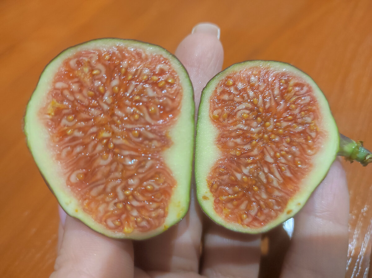 Фото автора, инжир в разрезе