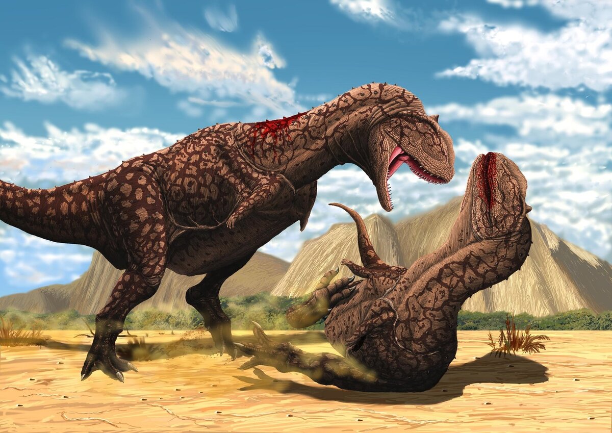 Майюнгазавр. Тероподы Майюнгазавр. Majungasaurus crenatissimus. Майюнгазавр динозавр. Майюнгазавр и Карнотавр.