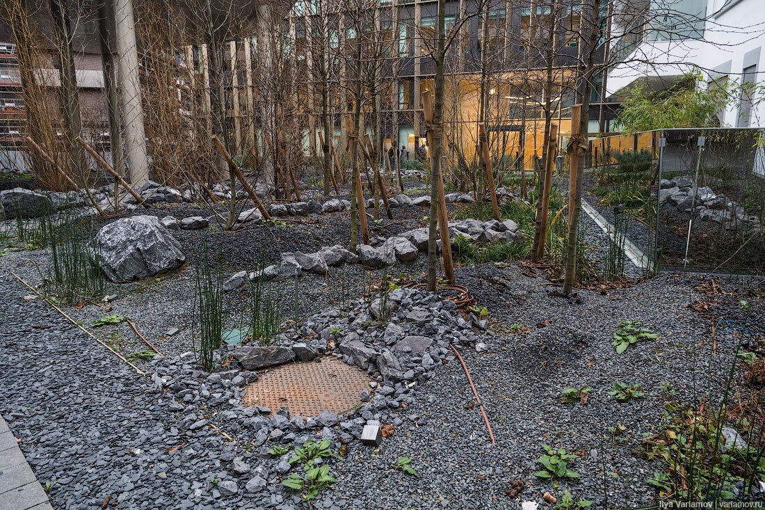 где живет варламов