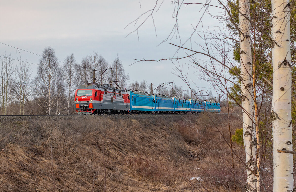 Электровозы ЭП1М-492, ЭП1М-453, ЭП1М-438, ЭП1М-464, ЭП1М-565, ЭП1М-412. Кировская область, перегон Котельнич-I - Котельнич-II, 08.04.2020