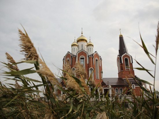     © Фото: ИД «Волгоградская правда» / Кирилл Брага / архив.