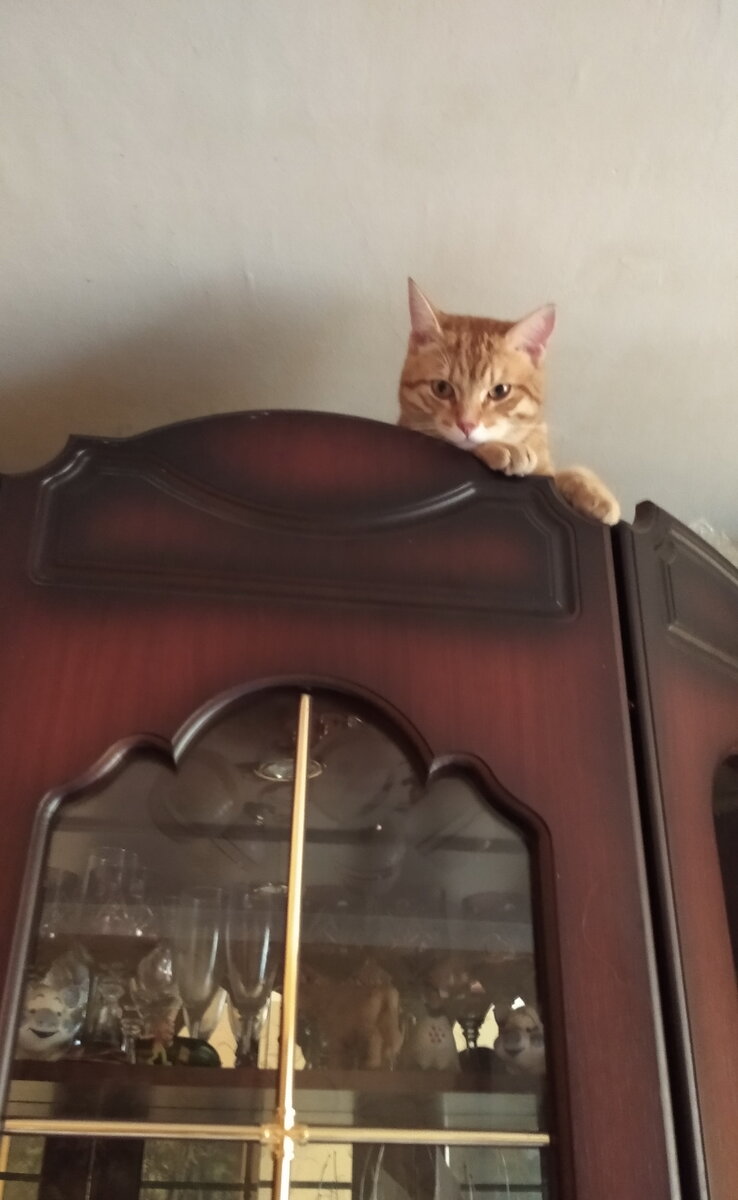 Личное фото.