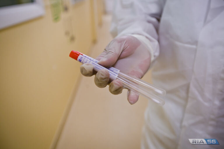    В Оренбуржье суточный прирост COVID-19 снизился до 60 случаев Кристина Просвиркина