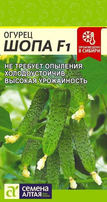 Новинки «Семена Алтая» 2023 года! | Семь семян🌱Просто о садоводстве | Дзен