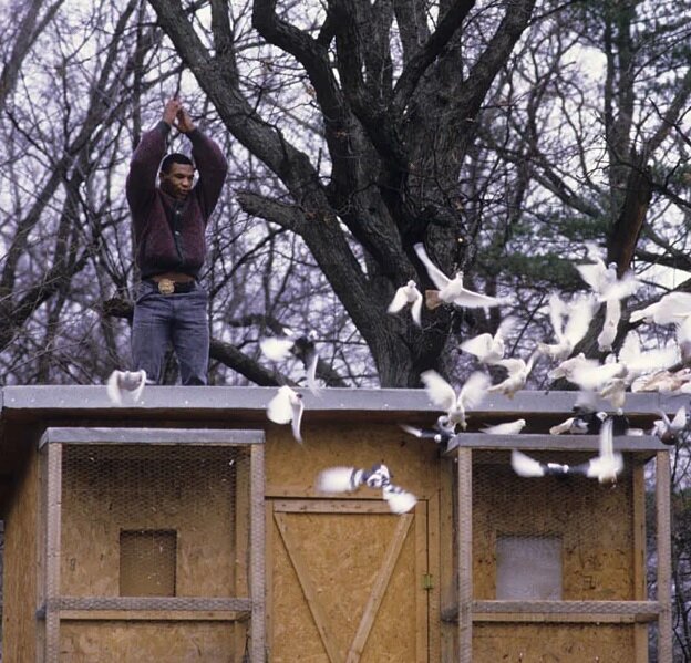 Случайный портрет Тайсона за пределами его голубятни в доме его суррогатной матери Камиллы Эвальд в северной части штата Нью-Йорк.