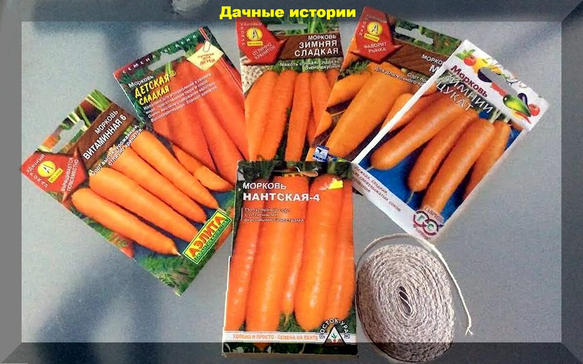 Морковь какие сорта сажать. Сорта моркови для посадки. сорта моркови для посадки весной. семена моркови сорта. семена моркови для посадки.