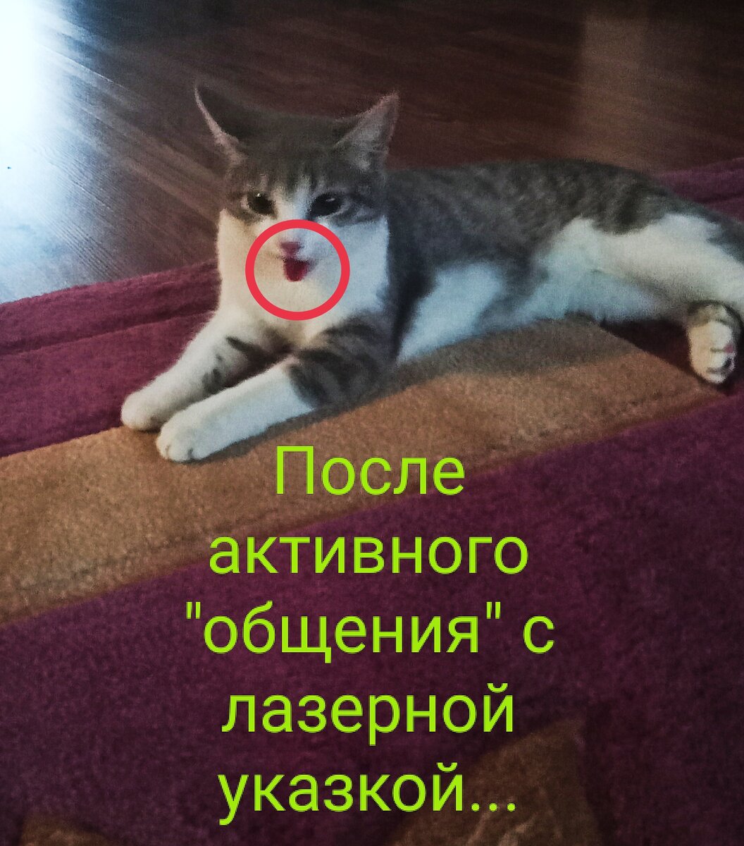 А это мы активно поиграли)