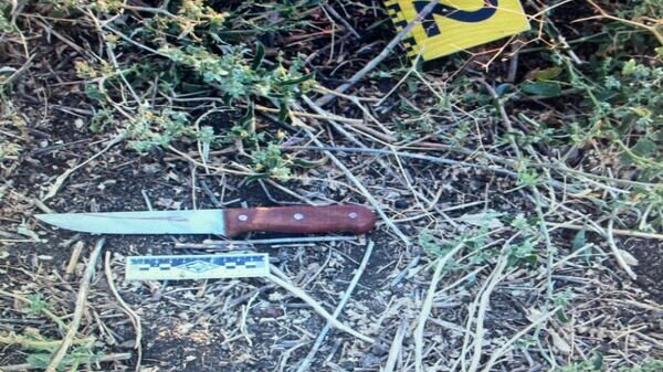   © Photo : Пресс-служба ДП Жетысуской области