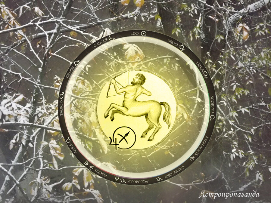 Коллаж Нины Стрелковой. 