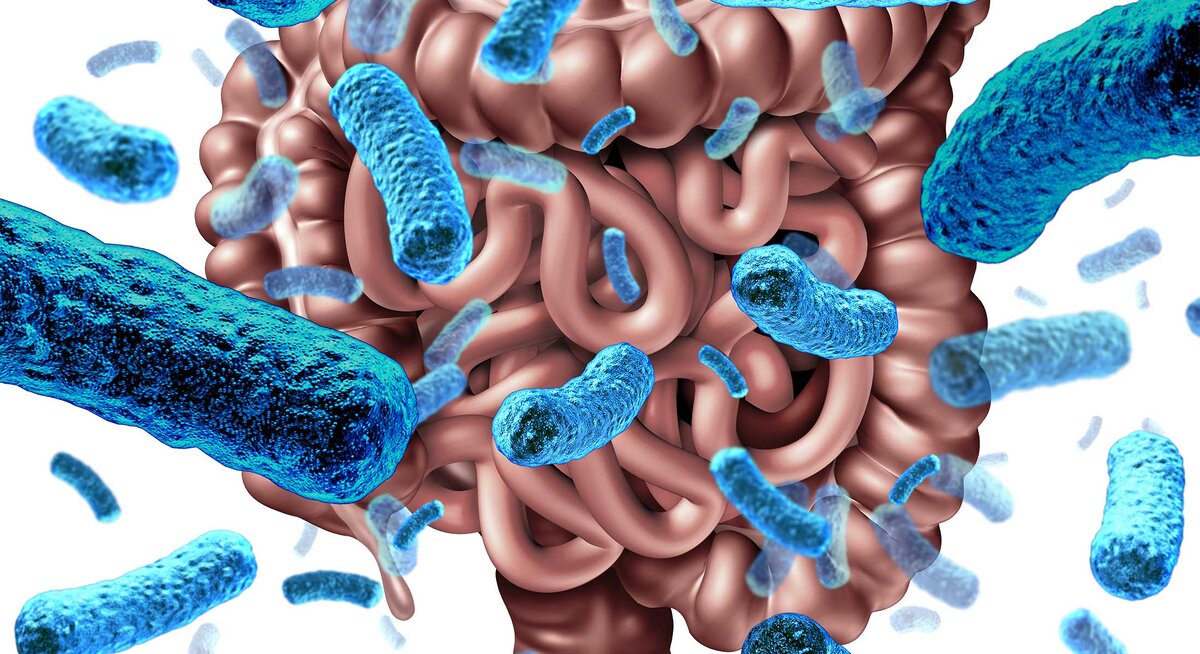 Рис.: gutmicrobiotaforhealth.com
