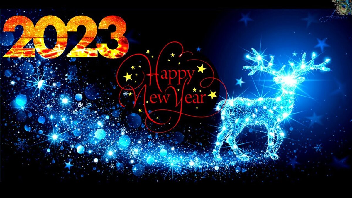 фото взято из открытых источников