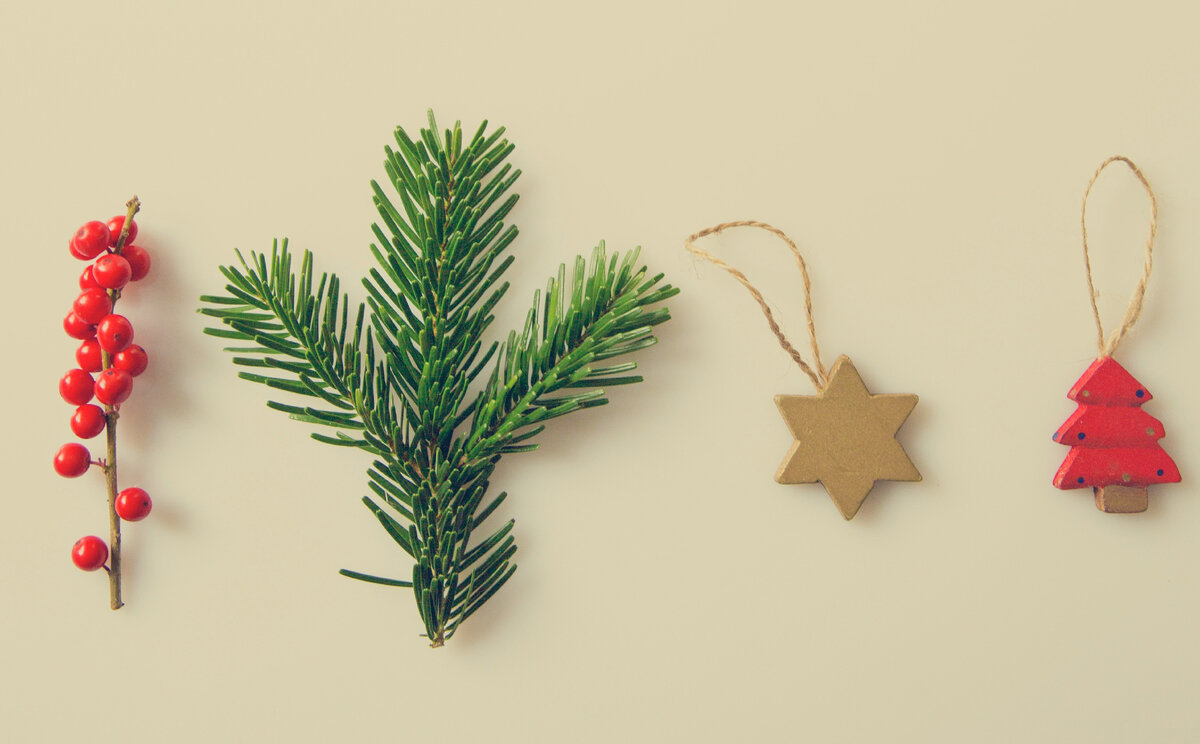 Фото из свободных источников интернета