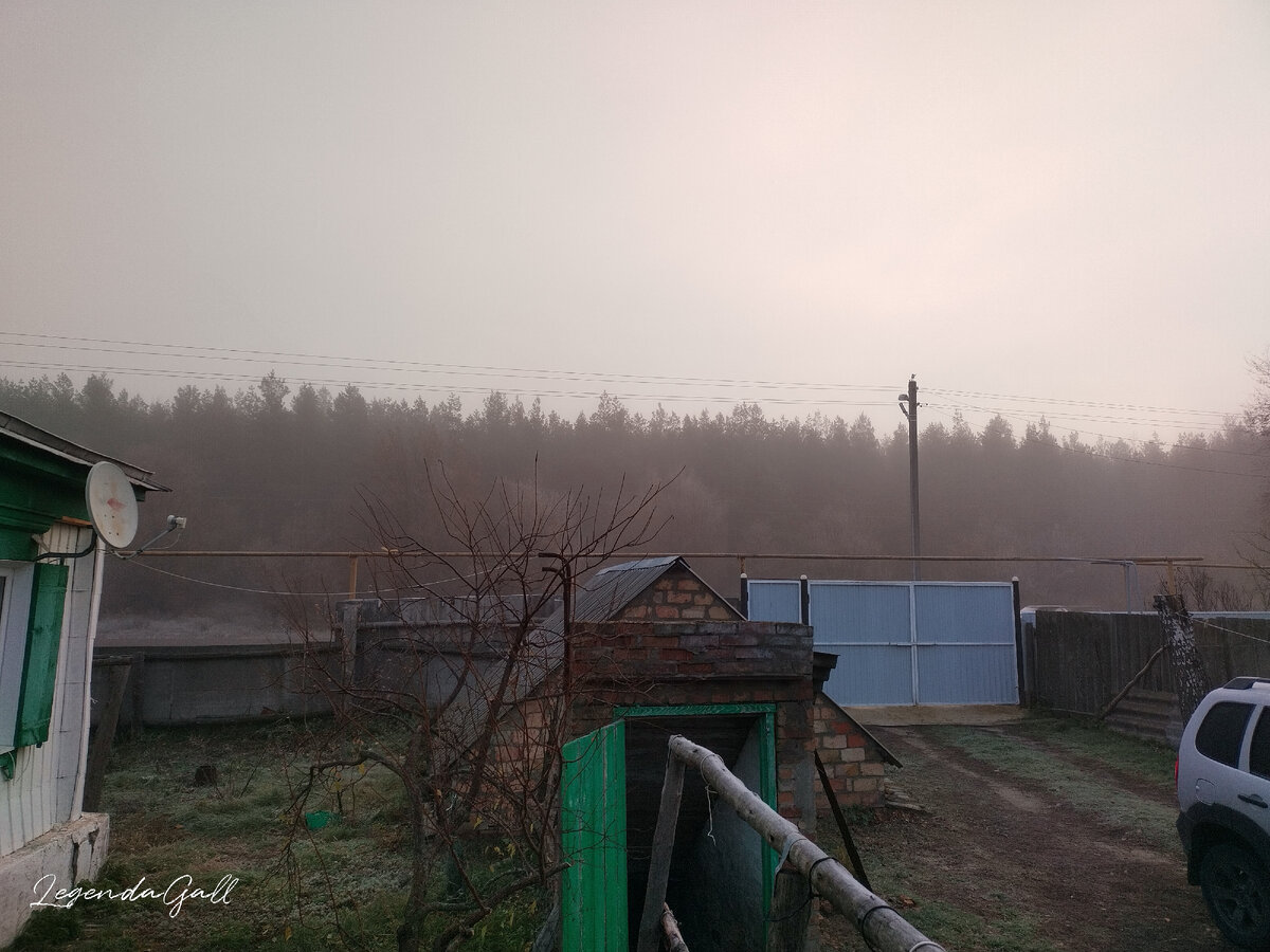 Это уже высоко солнце. Время 8 утра