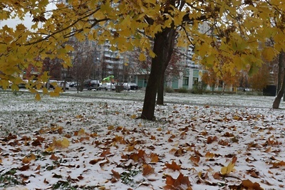    Первый снег ©Лариса Кузнецова РИАМО в Домодедово