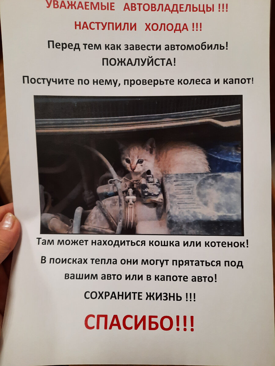 Объявление 