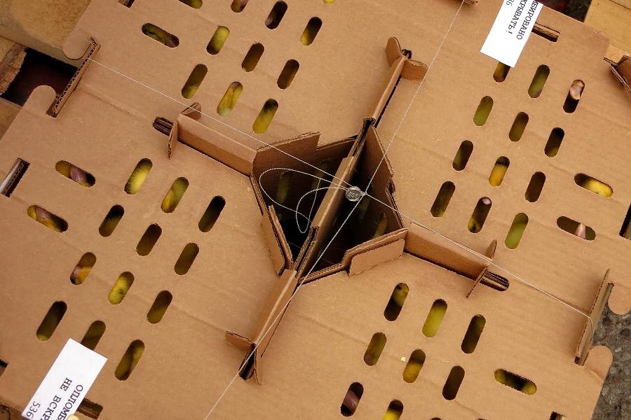 Фото Калининградской областной таможни