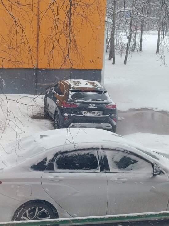     Фото: vk.com Происшествия Ноябрьск