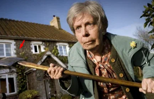 Добавьте описание