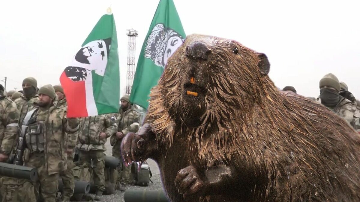 Bobr Р±РѕРµРІРѕР№