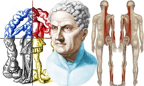 Медицинская доктрина Галена доминировала в западном и арабском мире почти 1500 лет. 
Гален был греком, который стал величайшим врачом Римской империи. Сохранилось около 20 000 страниц его работ. На протяжении десятилетий он был личным врачом римских императоров.