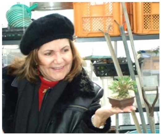 Солита Тафур Розаде 
Источник: www.fobbsbonsai.co.uk
