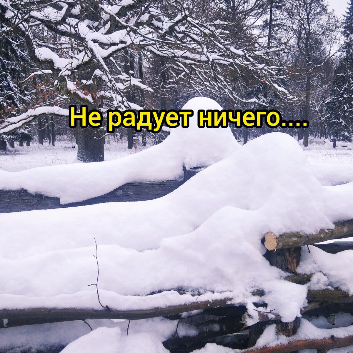 Фотография автора