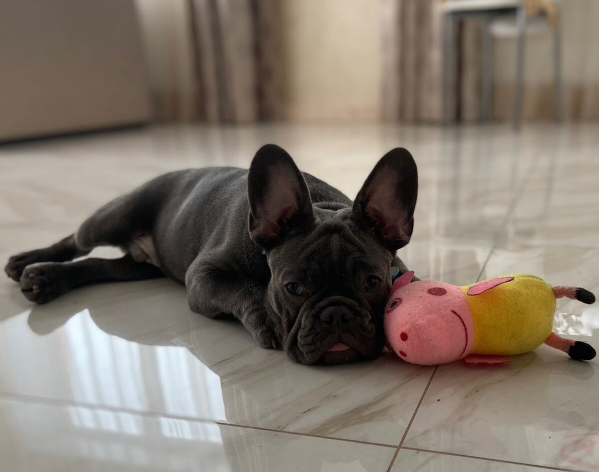 "Отойдите от меня со своими играми"