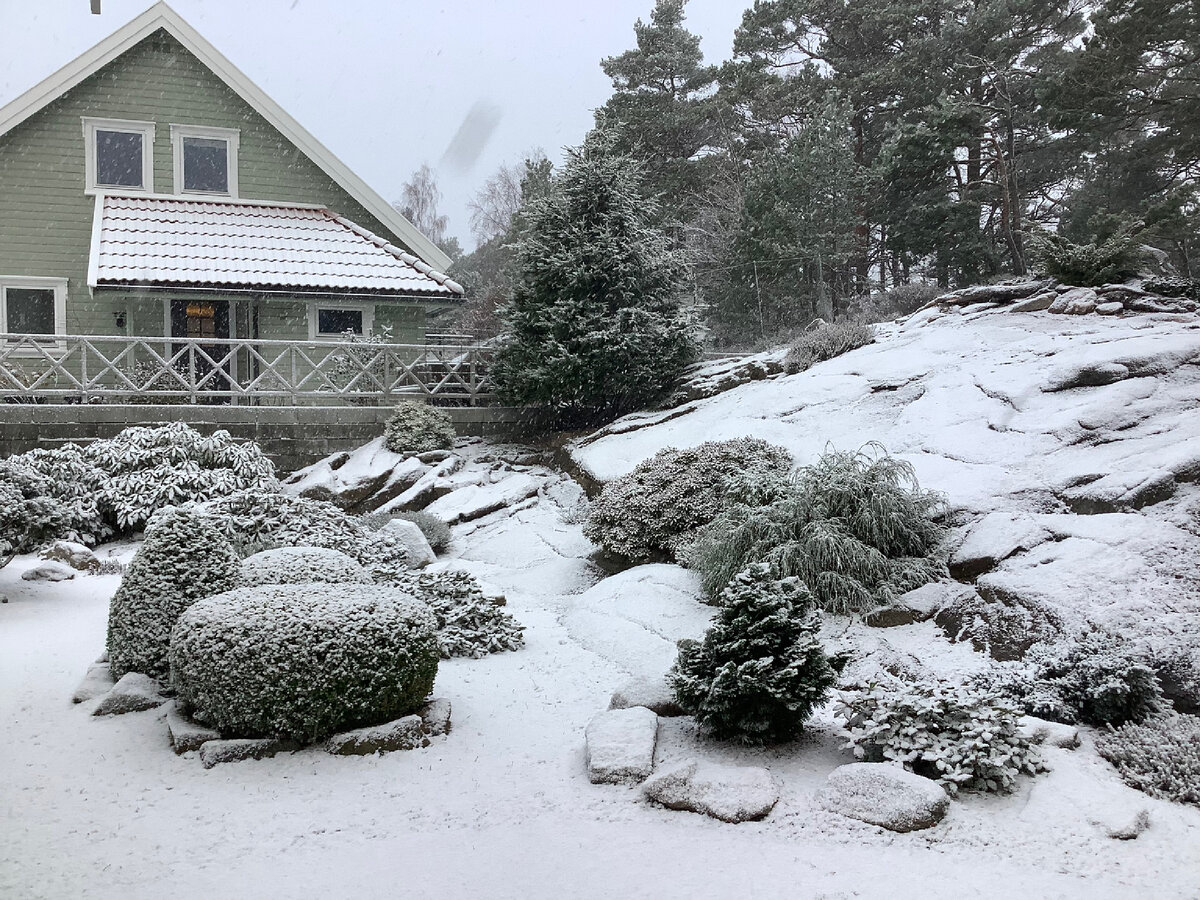 6 фото, листайте. Первый снег.